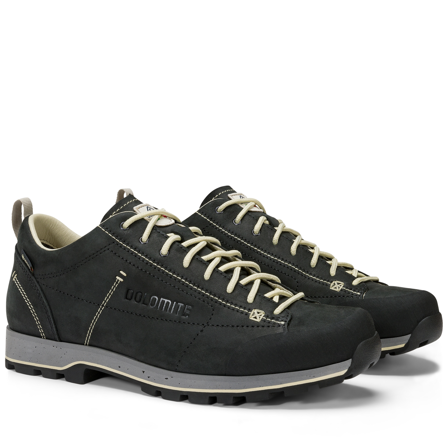 Dolomite Men's 54 Low Fg Evo Gore-Tex Shoes