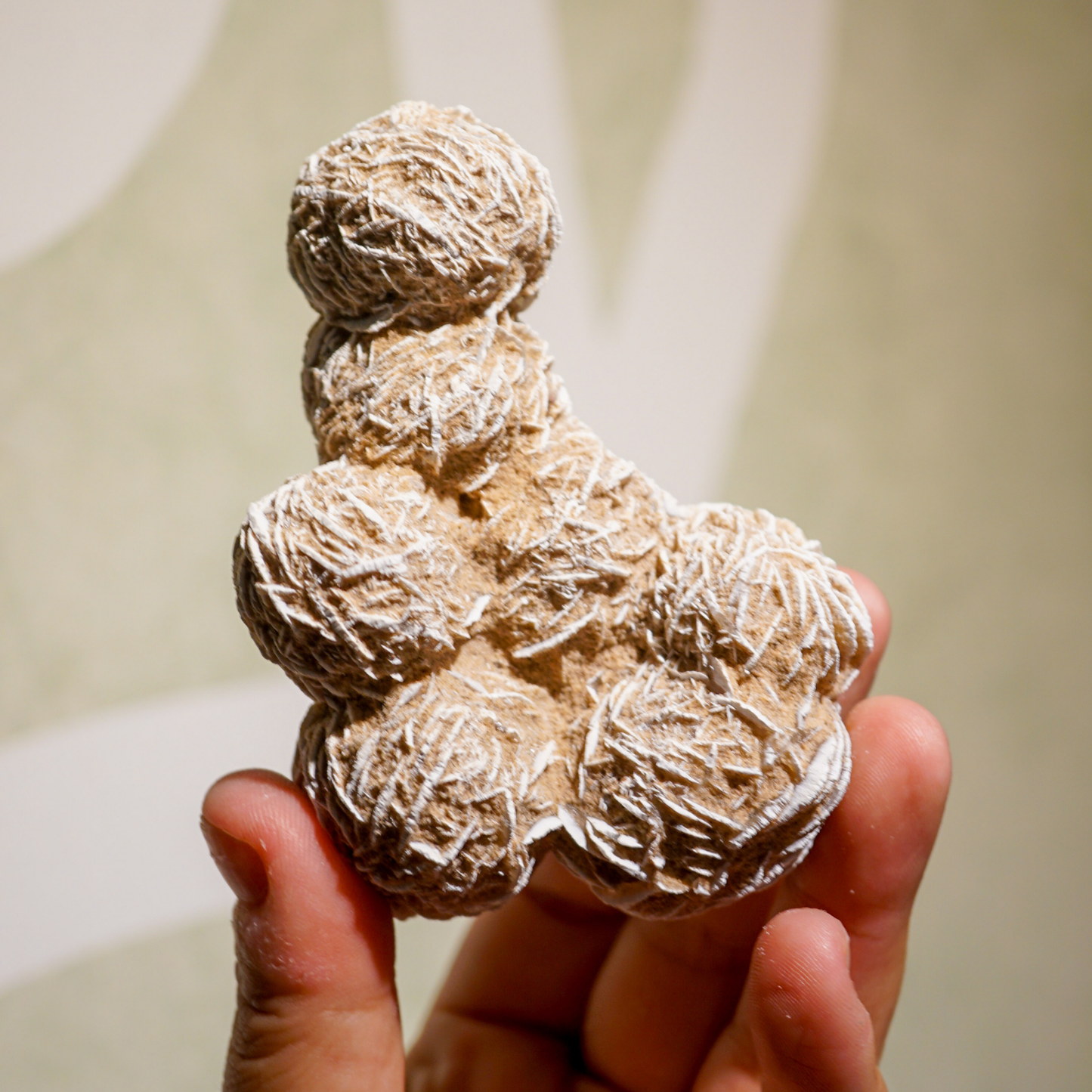 Desert Rose Selenite