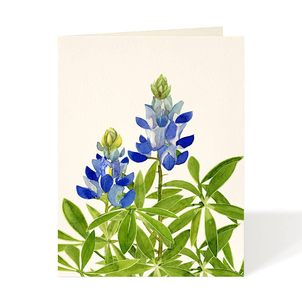 Bluebonnet - Flower Garden Greeting Cards