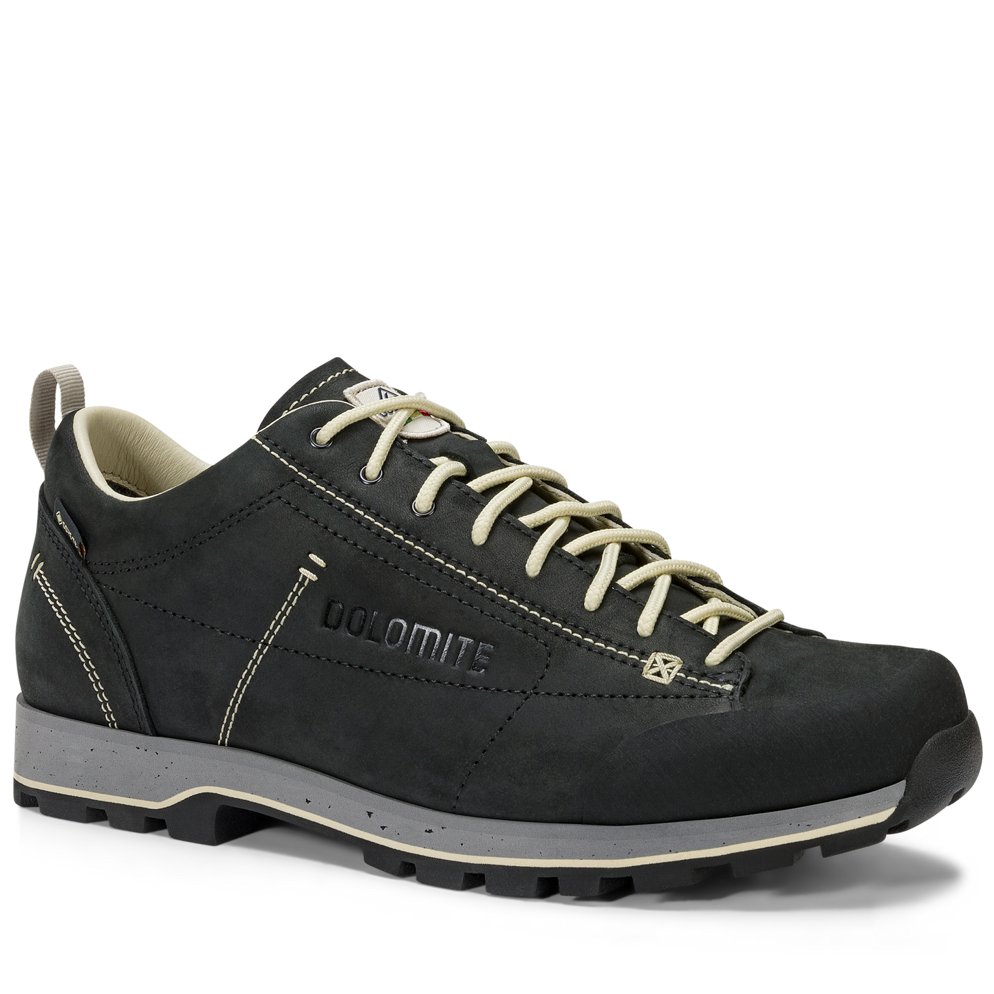 Dolomite Men's 54 Low Fg Evo Gore-Tex Shoes