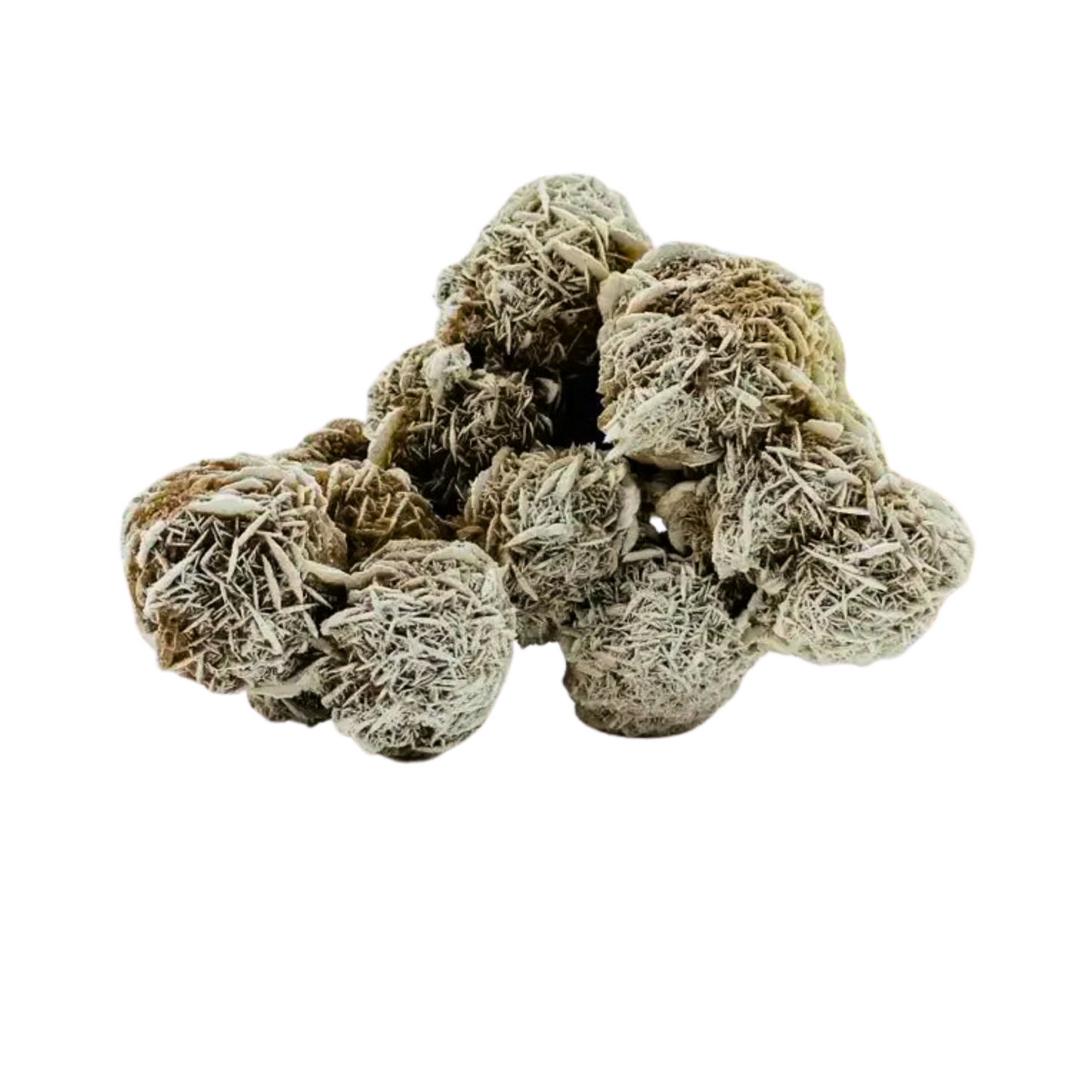 Desert Rose Selenite