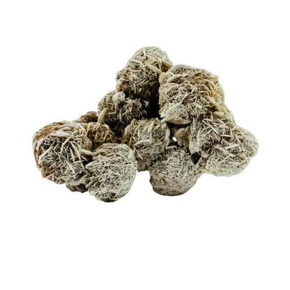 Desert Rose Selenite
