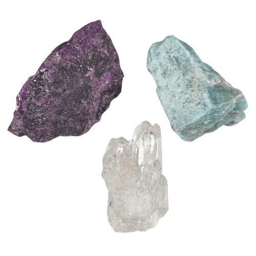 Intuition Bundle #378