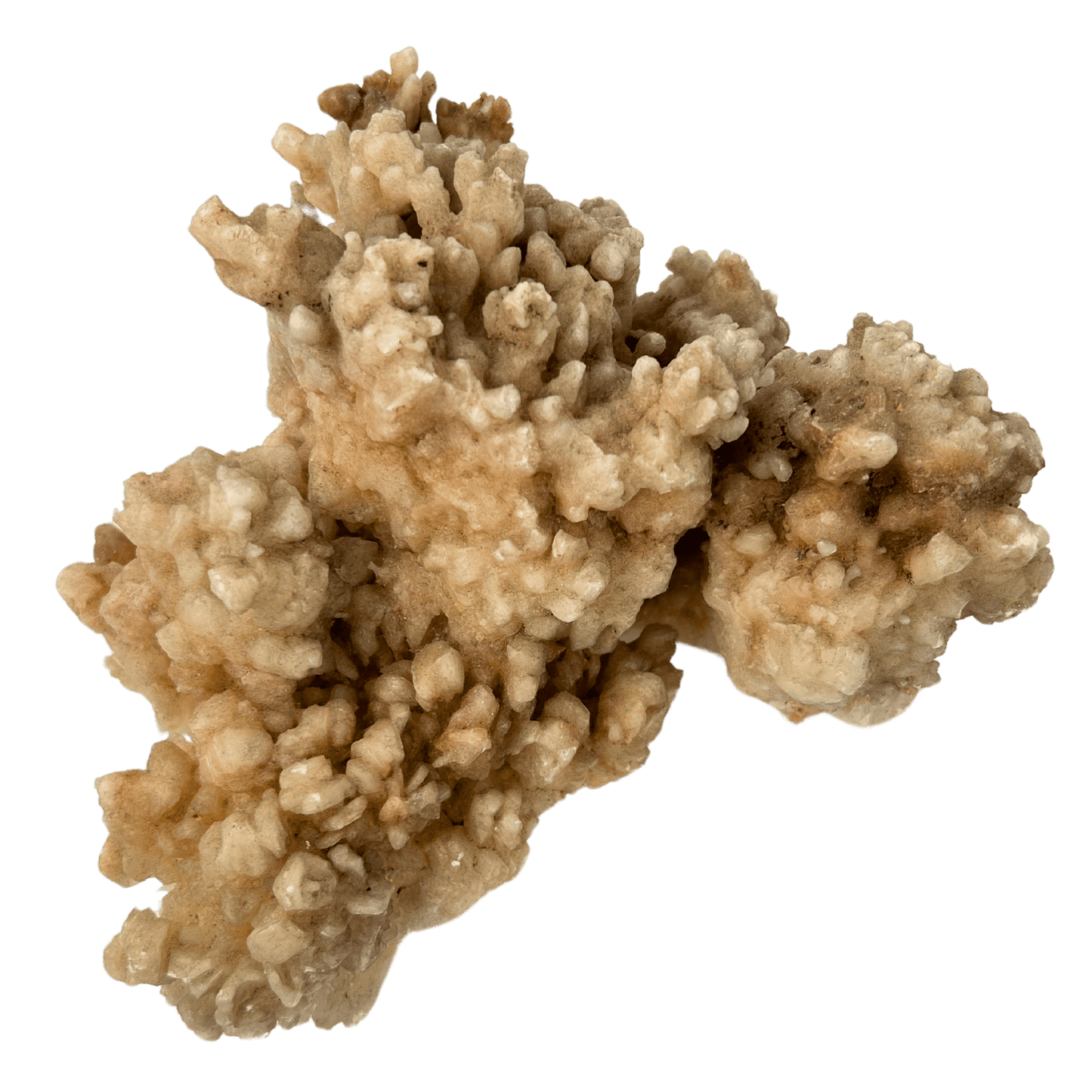 Cave Calcite #29
