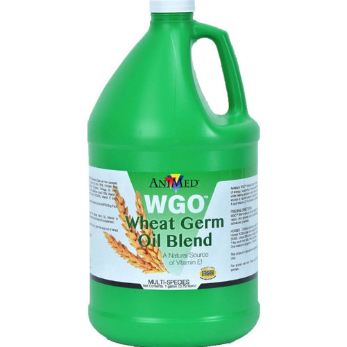 AniMed Wheat Germ OIl