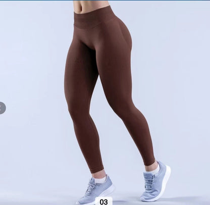 Quick-drying Seamless Gym Leggings