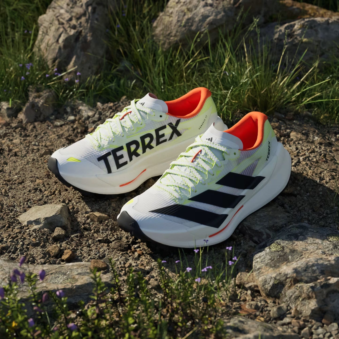 Adidas Women's Terrex Agravic TT Trail Running Shoes