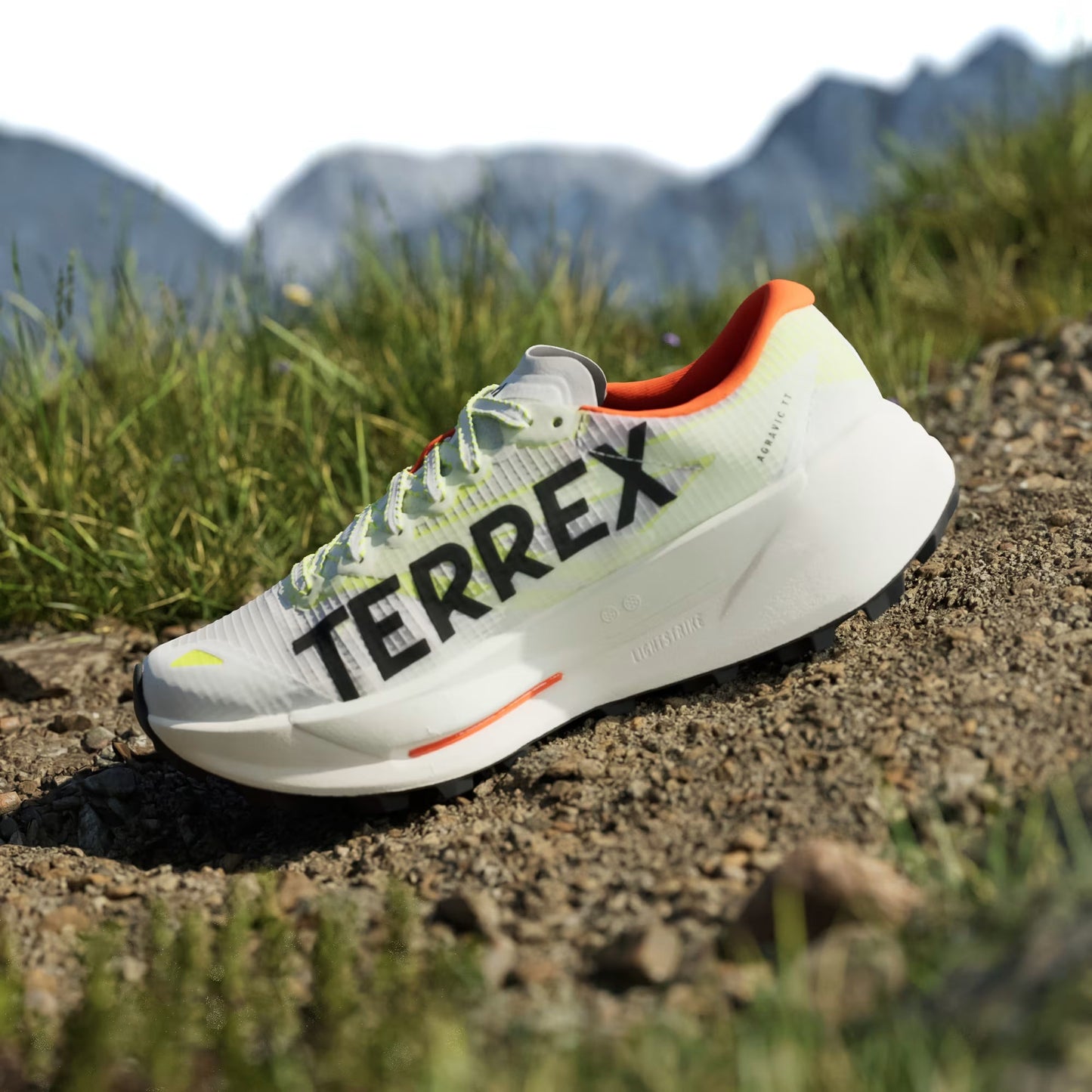 Adidas Women's Terrex Agravic TT Trail Running Shoes