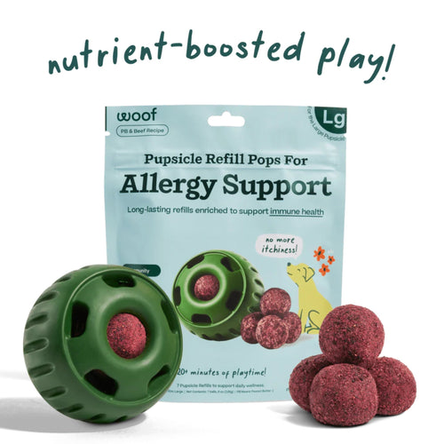 Allergy Support Pupsicle Refill Pops