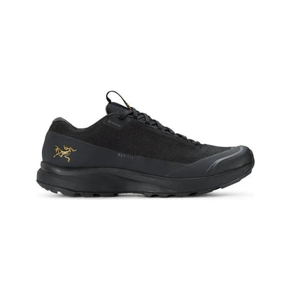 Arc'teryx Men's Aerios FL 2 Gore-Tex Hiking Shoes