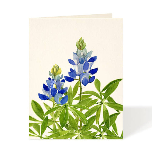 Bluebonnet - Flower Garden Greeting Cards