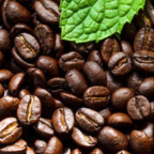 Apricot Creme Coffee - 1 lb (16 oz)