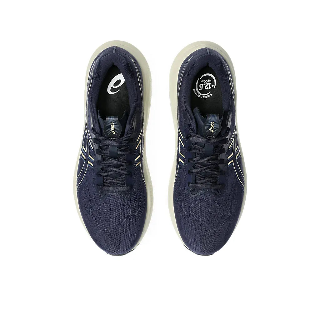 Asics Men's GT-2000 14 (2E) Wide Running Shoes