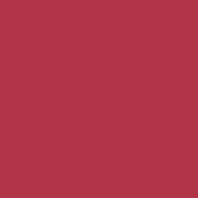 12" Red Earth - EasyWeed EcoStretch HTV