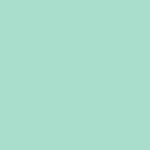 20" Sweet Mint EasyWeed EcoStretch HTV
