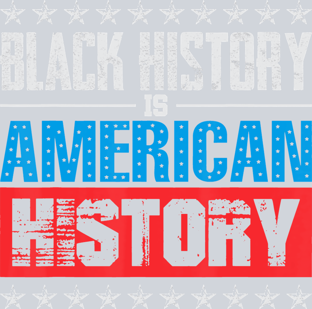 Black History Is American History 8 - STK00705 (DTF Transfers)