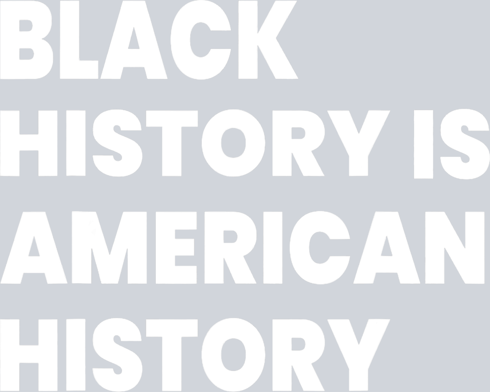 Black History Is American History 27 - STK00722 (DTF Transfers)