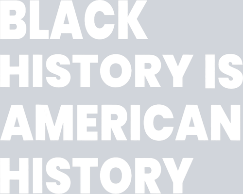 Black History Is American History 27 - STK00722 (DTF Transfers)